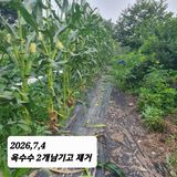 시민농장님의 작성글 사진