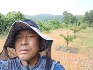 최강식님의 기타작물 · 영농일지 작성글 사진