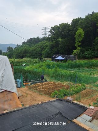 이수홍(이창희)님의 기타작물 · 영농일지 작성글 사진
