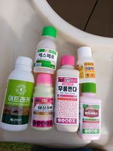 팜모닝 고추·영농일지 게시글 이미지