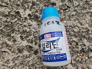 대추왕님의 기타작물 · 영농일지 작성글 사진