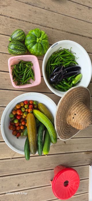 경주농장님의 토마토 · 영농일지 작성글 사진