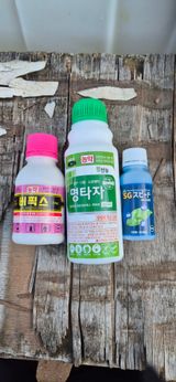 정진필님의 작성글 사진