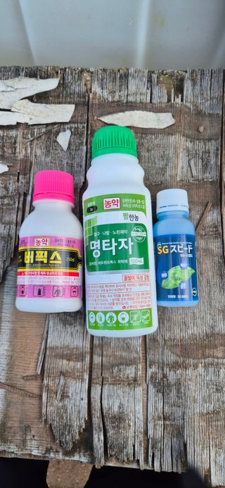 정진필님의 기타작물 · 영농일지 작성글 사진