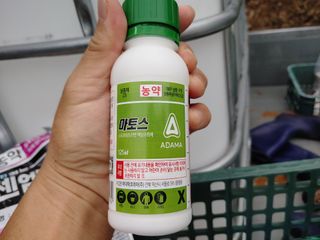 단감당감님의 감 · 영농일지 작성글 사진