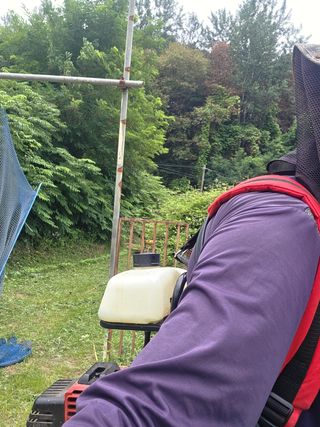 김윤회님의 기타작물 · 영농일지 작성글 사진