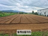 팜모닝 기타작물·영농일지 게시글 이미지