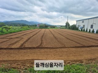 찬균park님의 기타작물 · 영농일지 작성글 사진