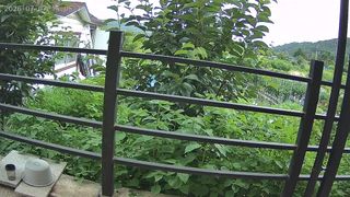 김영숙님의 기타작물 · 영농일지 작성글 사진