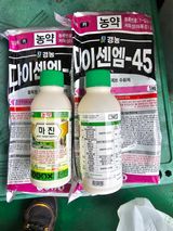 모래알님의 작성글 사진