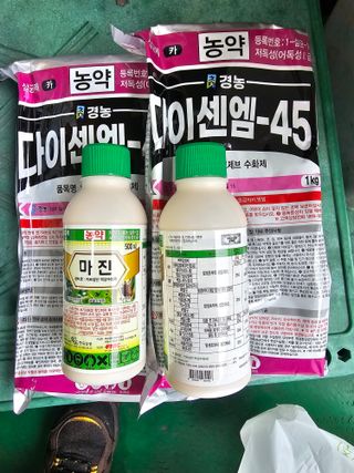 모래알님의 귤 · 영농일지 작성글 사진