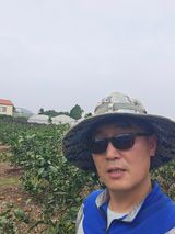 팜모닝 귤·영농일지 게시글 이미지