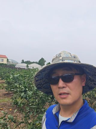 백지한님의 귤 · 영농일지 작성글 사진