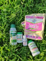 팜모닝 기타작물·영농일지 게시글 이미지