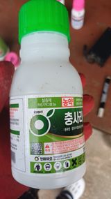 나다1004님의 작성글 사진