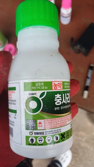 나다1004님의 고추 · 영농일지 작성글 사진