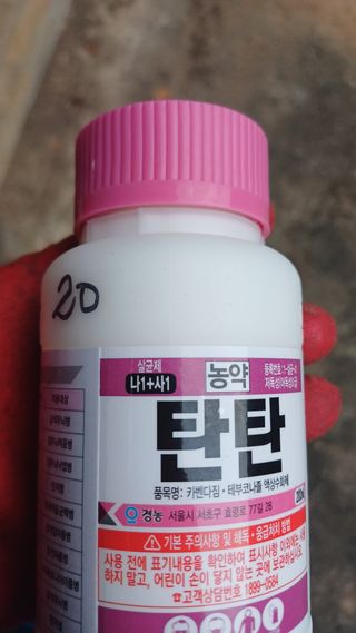 나다1004님의 고추 · 영농일지 작성글 사진