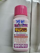 안병윤님의 작성글 사진