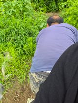 김영숙님의 작성글 사진