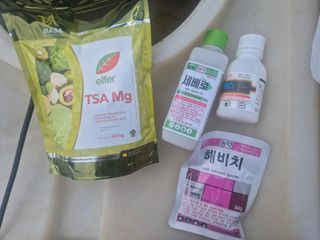 조성민님의 포도 · 영농일지 작성글 사진