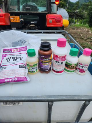 정진용님의 오이 · 영농일지 작성글 사진