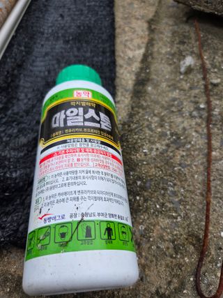 제주온님의 귤 · 영농일지 작성글 사진