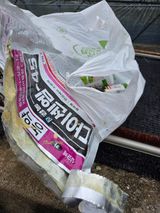 팜모닝 귤·영농일지 게시글 이미지