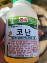 안병윤님의 작성글 사진