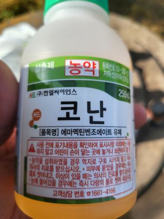 안병윤님의 포도 · 영농일지 작성글 사진