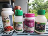 팜모닝 감·영농일지 게시글 이미지