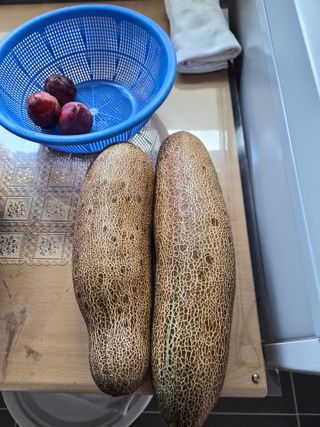 최기덕님의 복숭아 · 영농일지 작성글 사진