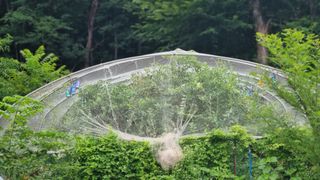김동명님의 기타작물 · 영농일지 작성글 사진