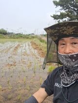 팜모닝 벼·영농일지 게시글 이미지