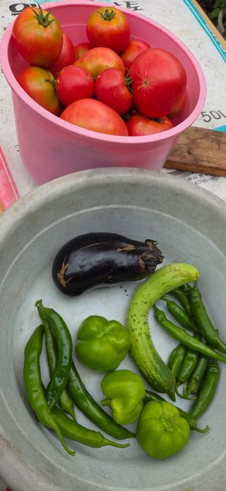 김성필님의 기타작물 · 영농일지 작성글 사진