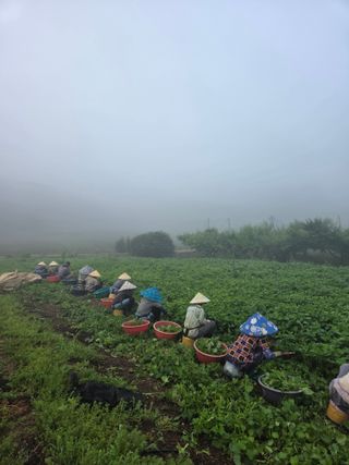 서병국님의 기타작물 · 영농일지 작성글 사진