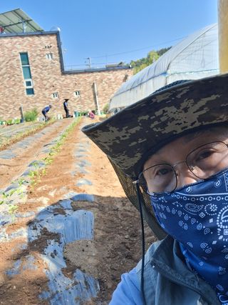 호박 정정호님의 고추 · 영농일지 작성글 사진