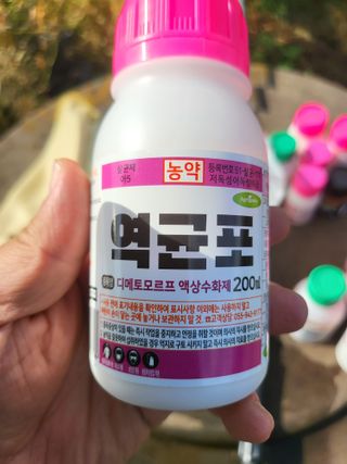 안병윤님의 포도 · 영농일지 작성글 사진