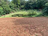 김유찬님의 작성글 사진