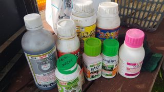 최춘득 청대산 님의 기타작물 · 영농일지 작성글 사진
