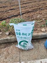 팜모닝 고추·영농일지 게시글 이미지