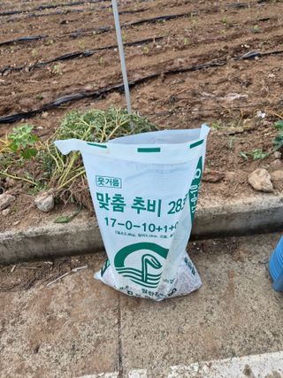 벽창호(죽동농부)님의 작성글 사진