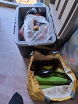 백영호님의 작성글 사진