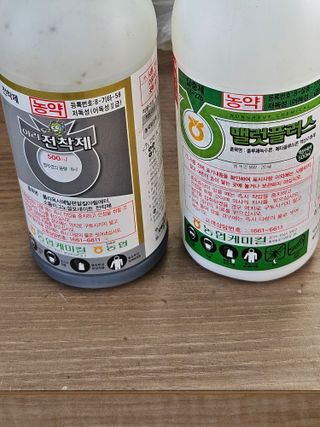 김해열님의 기타작물 · 영농일지 작성글 사진
