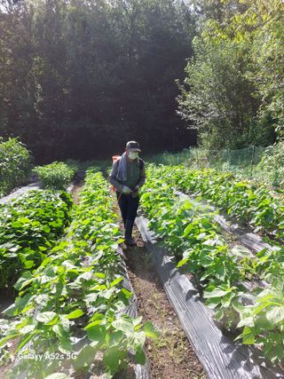 손길준님의 기타작물 · 영농일지 작성글 사진