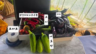 최석주님의 기타작물 · 영농일지 작성글 사진