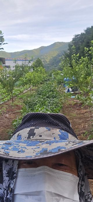돌복숭아님의 기타작물 · 영농일지 작성글 사진