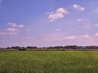 이미옥님의 작성글 사진