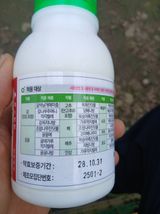 라이온3241님의 작성글 사진