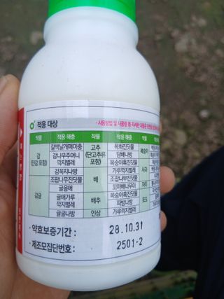 라이온3241님의 귤 · 영농일지 작성글 사진