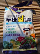 최영희님의 작성글 사진